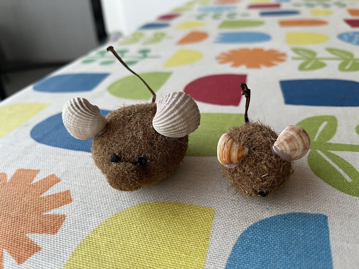 jorjski's tweet photo. Made little friends from things I found at the beach 😂😂 it’s not as bad as a pet rock, right? https://t.co/sbgJbRRJ9E