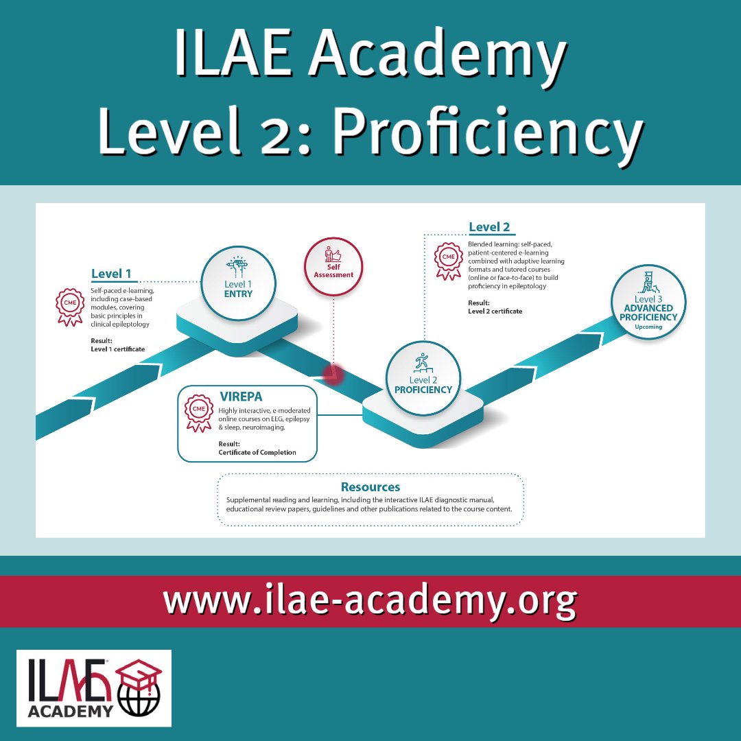 ilae-on-twitter-the-ilaeacademy-level-2-program-is-now-available