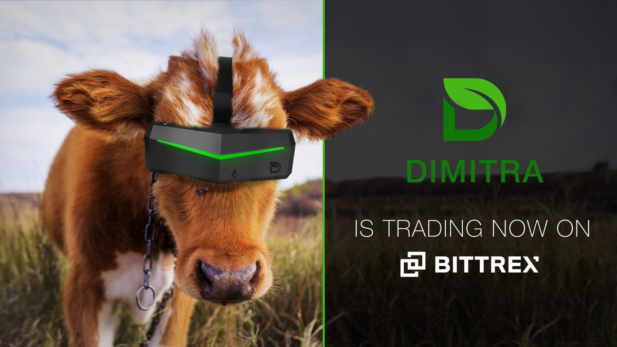 Dallocrypto tweet media