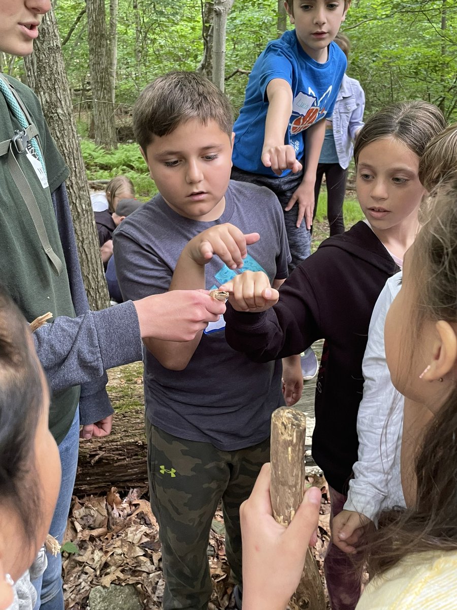 Mrs_Pennino's tweet photo. Third Grade had such a fun and nature-filled day at the Weis Ecology Center! @ms_dulmage  @MsSangiorgi https://t.co/CnOhhUamg3