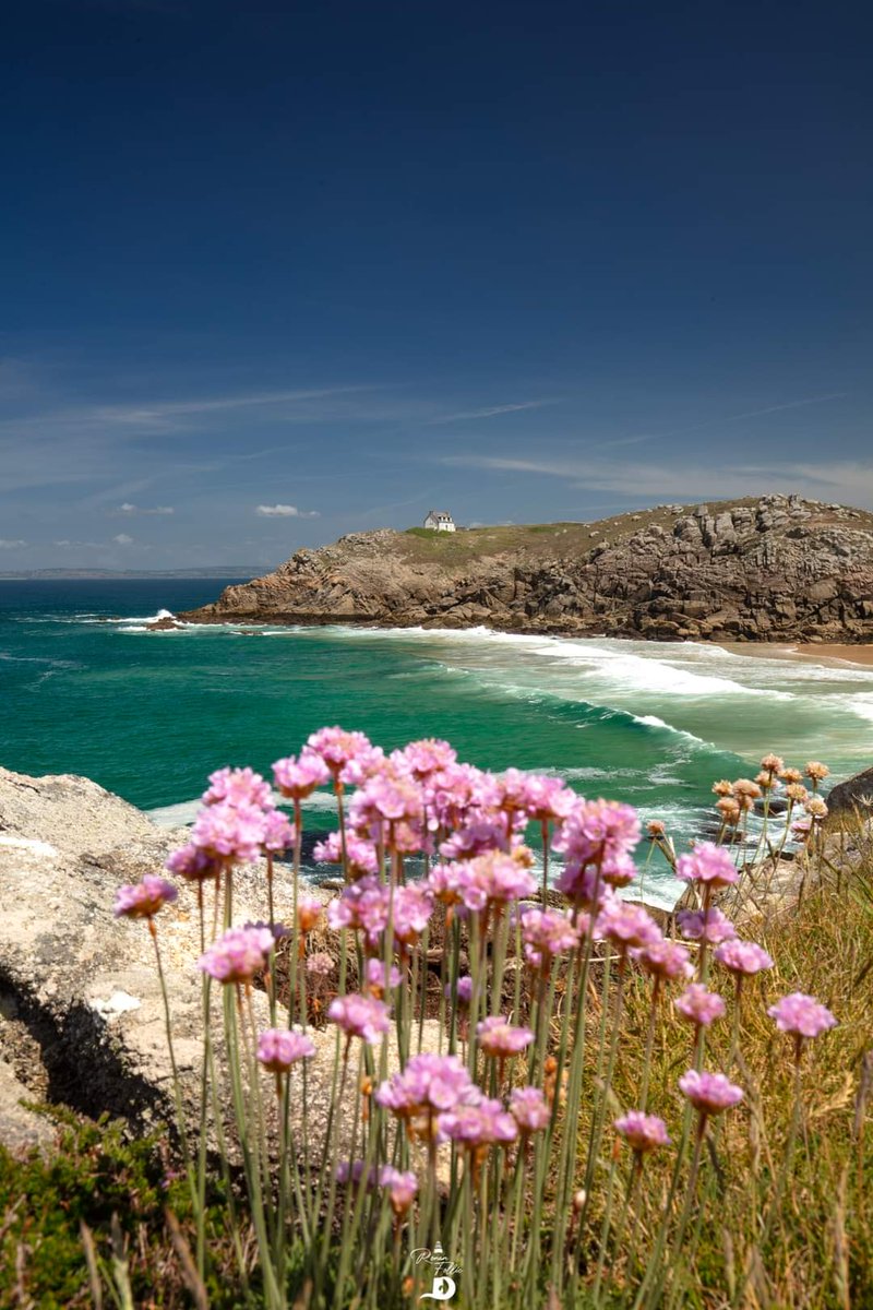 La floraison des arméries maritimes au phare du Millier.
ronanfollic.fr
#bretagne #brittany #breizh #finistere #pointeduraz #begarraz #pointeduvan #begarvan #iledesein