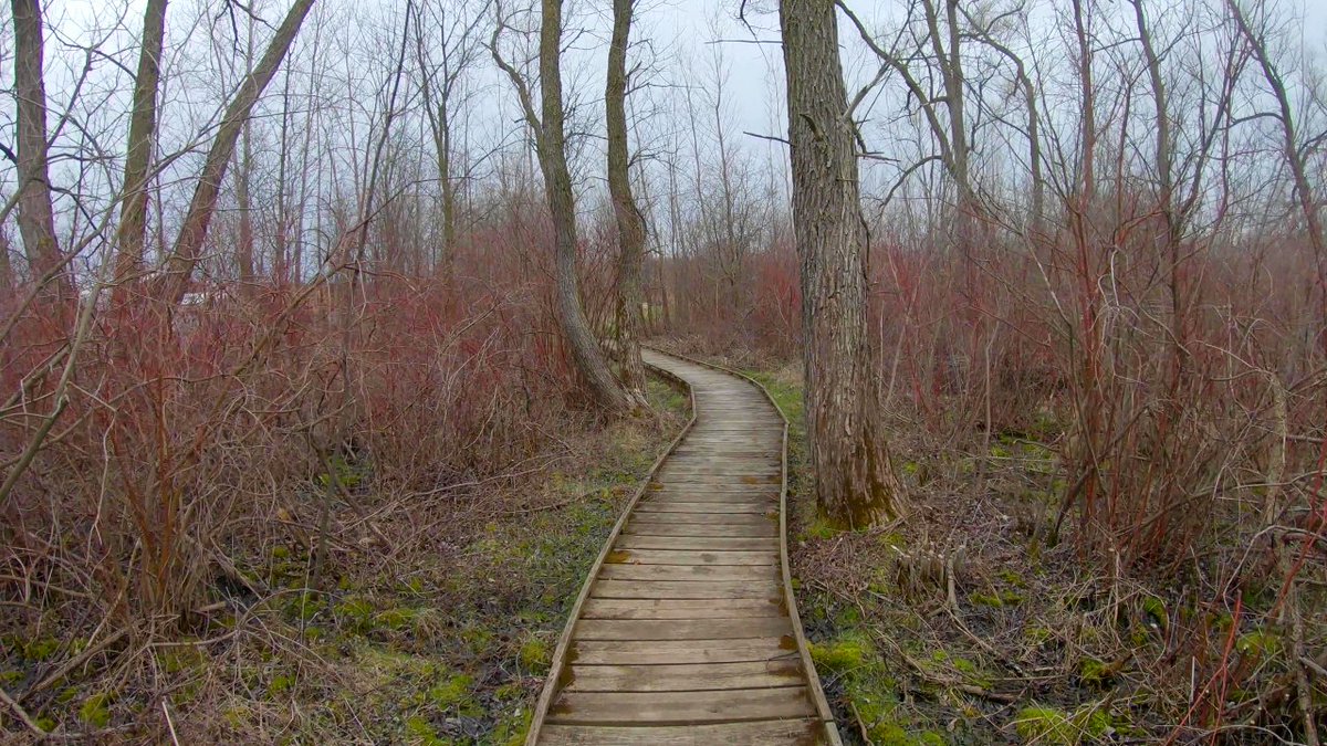 out_trail's tweet photo. From the Kewaskum Segment of the Ice Age National Scenic Trail (late April/early May)
#Hiking #IceAgeTrail #Wisconsin #OutdoorWisconsin #DiscoverWisconsin https://t.co/I4wS85wXCT