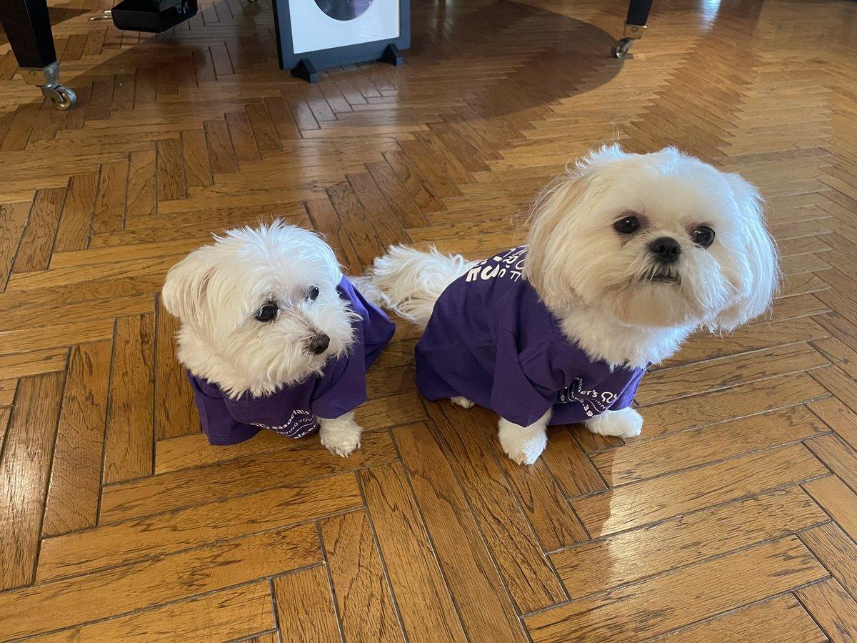 exploringarts's tweet photo. @alzassociation Hap and Bud working to ENDALZ https://t.co/OErHXwMJoe