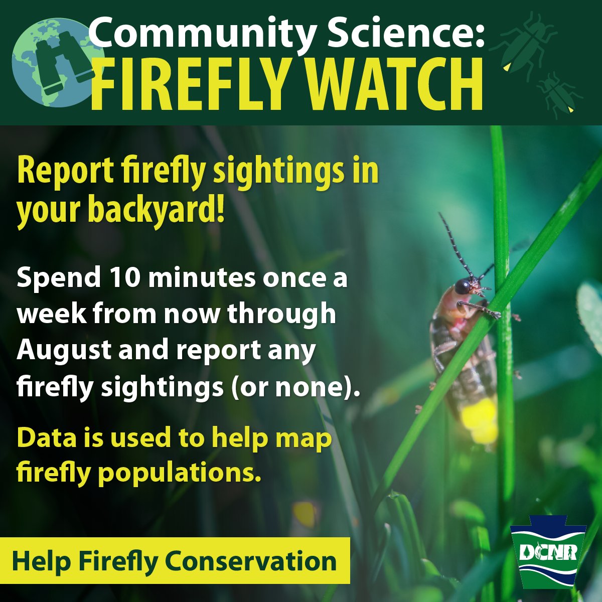DCNRnews's tweet photo. Help scientists learn about the geographic distribution of fireflies through the #FireflyWatch #CommunityScience Project. Spend at least 10 minutes once a week from now through August observing fireflies in one location. Learn more ➡ https://t.co/03Tdyb2aac. https://t.co/UOvkP5oo5U