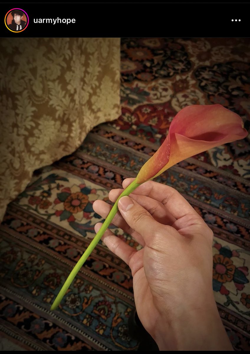 Bu şey değil mi ya bizim köydeki evin halısı