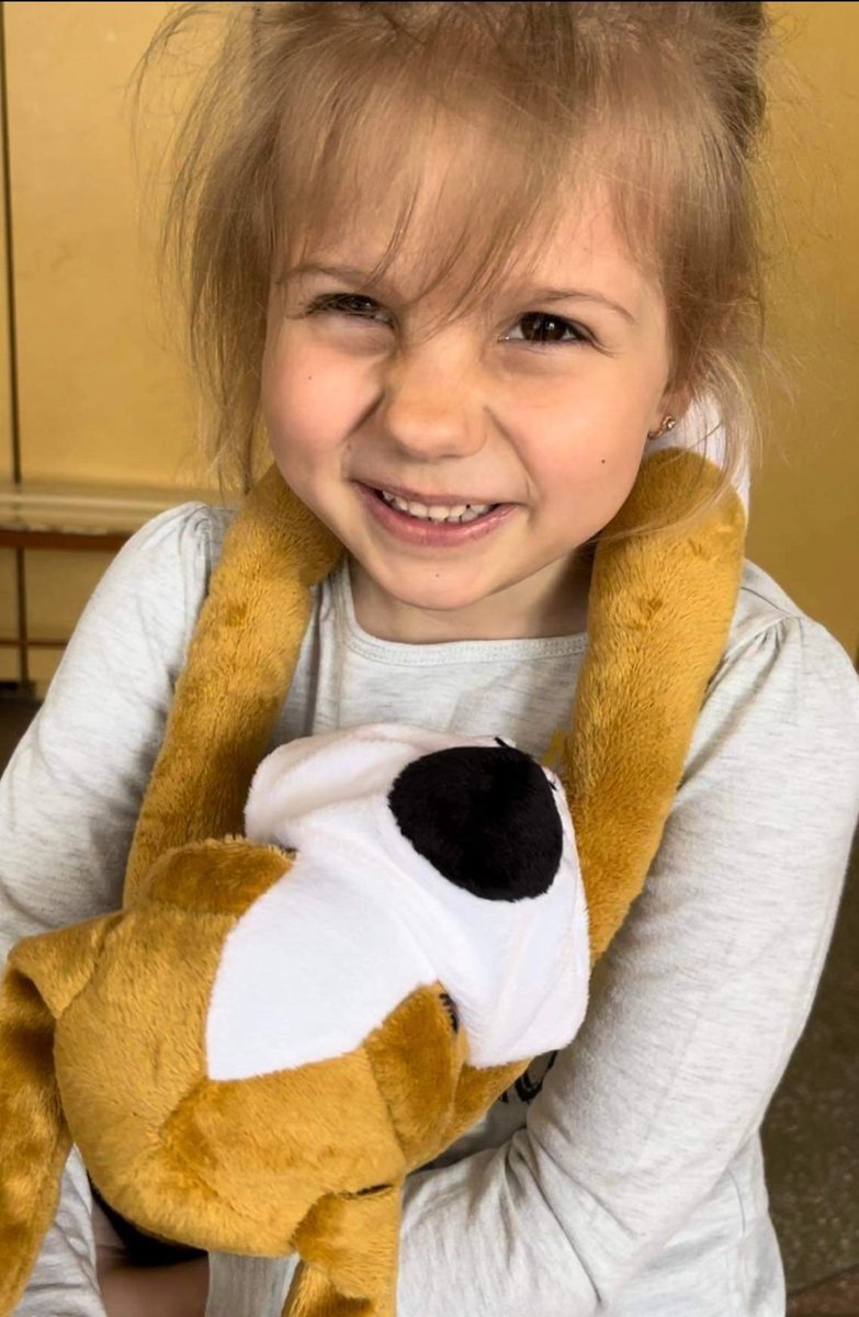 UnitedHelpUA's tweet photo. #Hibukiproject, a program that united volunteers in 🇮🇱, 🇺🇲 and 🇺🇦, continues to provide free Hibuki dogs and access to therapy to thousands of #Ukrainian children impacted by #RussianWar. Please help us support this crucial effort: https://t.co/pHFrI8sFKL https://t.co/MeHZNs5b49