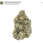Photo by Flower Power (@FPBotanicals)
