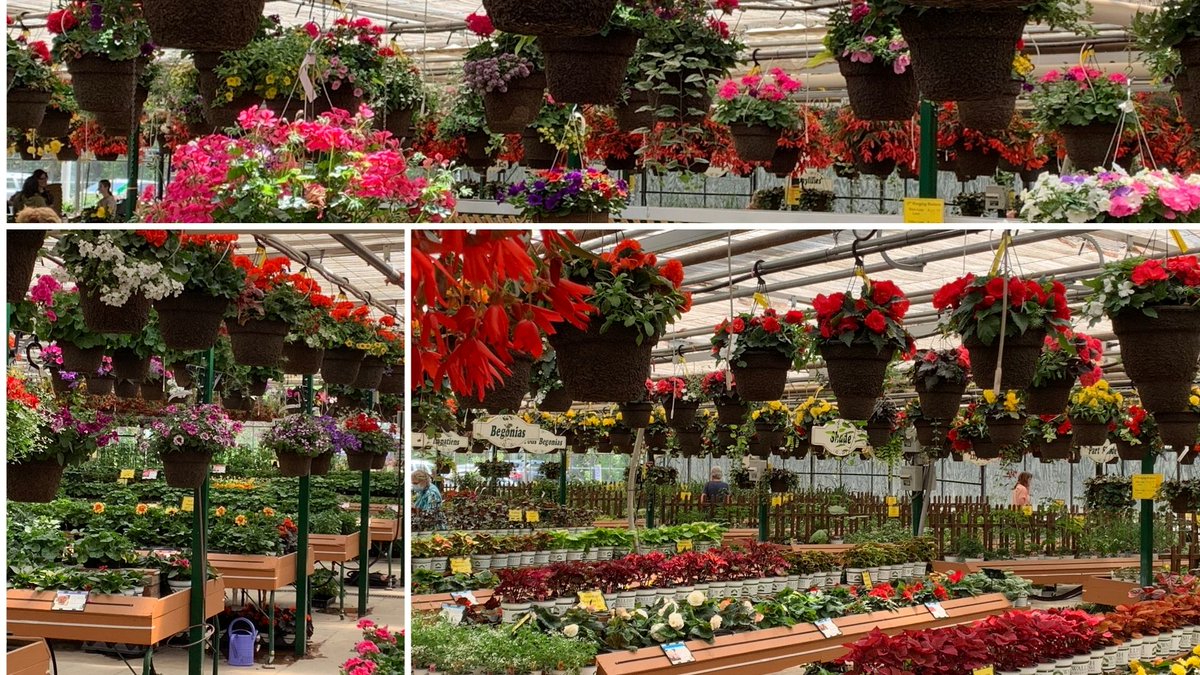Wallish Greenhouses tweet media