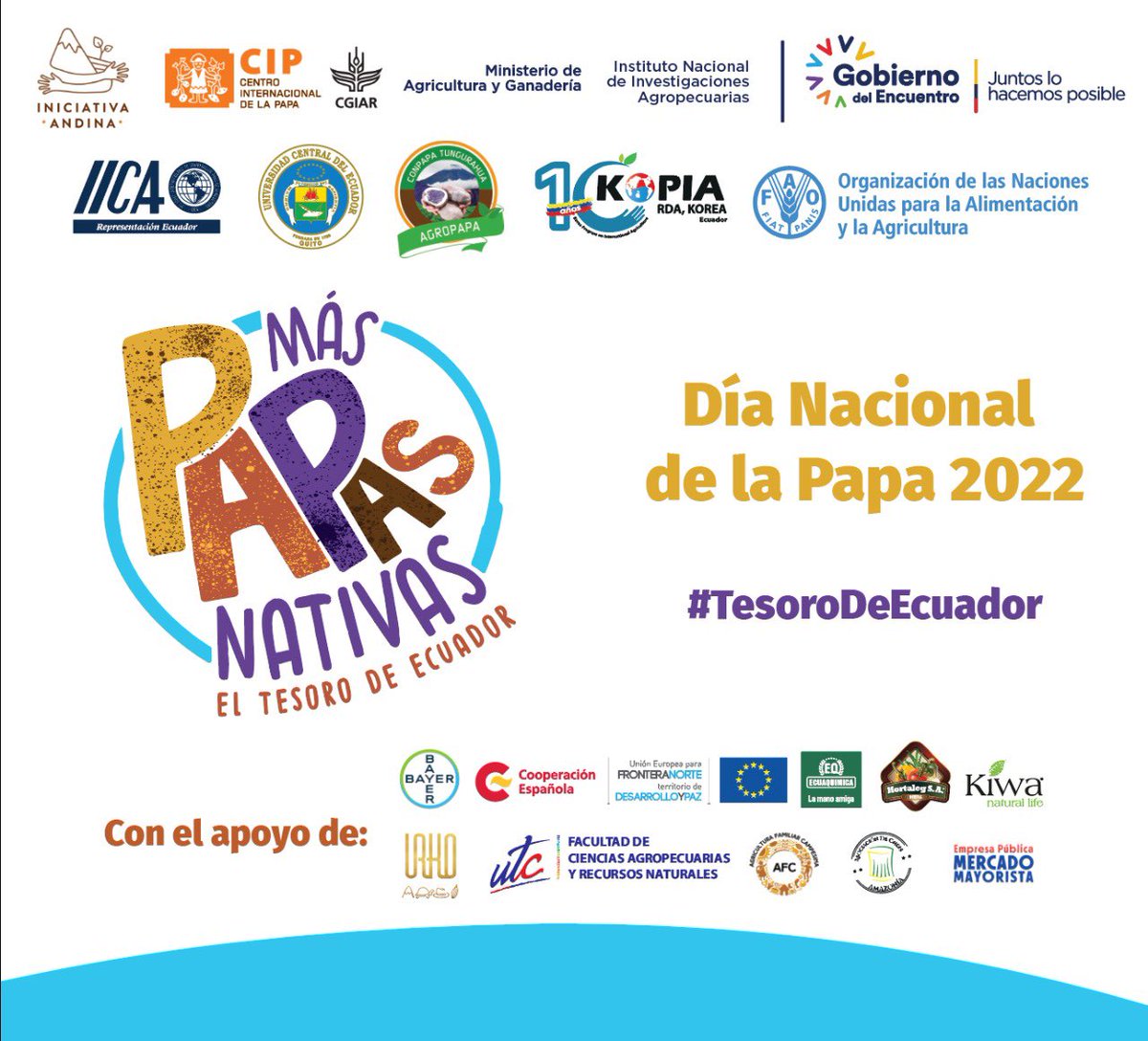 horacio_rv's tweet photo. Porque un día no es suficiente para celebrar al #TesoroDeEcuador, hemos programado una serie de eventos para conmemorar el #DiaNacionalDeLaPapa en #Ecuador 🇪🇨🥔

Consulta los detalles en https://t.co/iyYdv2HaKI 

@Cipotato @AgriculturaEc @INIAPECUADOR @IICAEcuador @FAOEcuador https://t.co/zcbtJBJbBR
