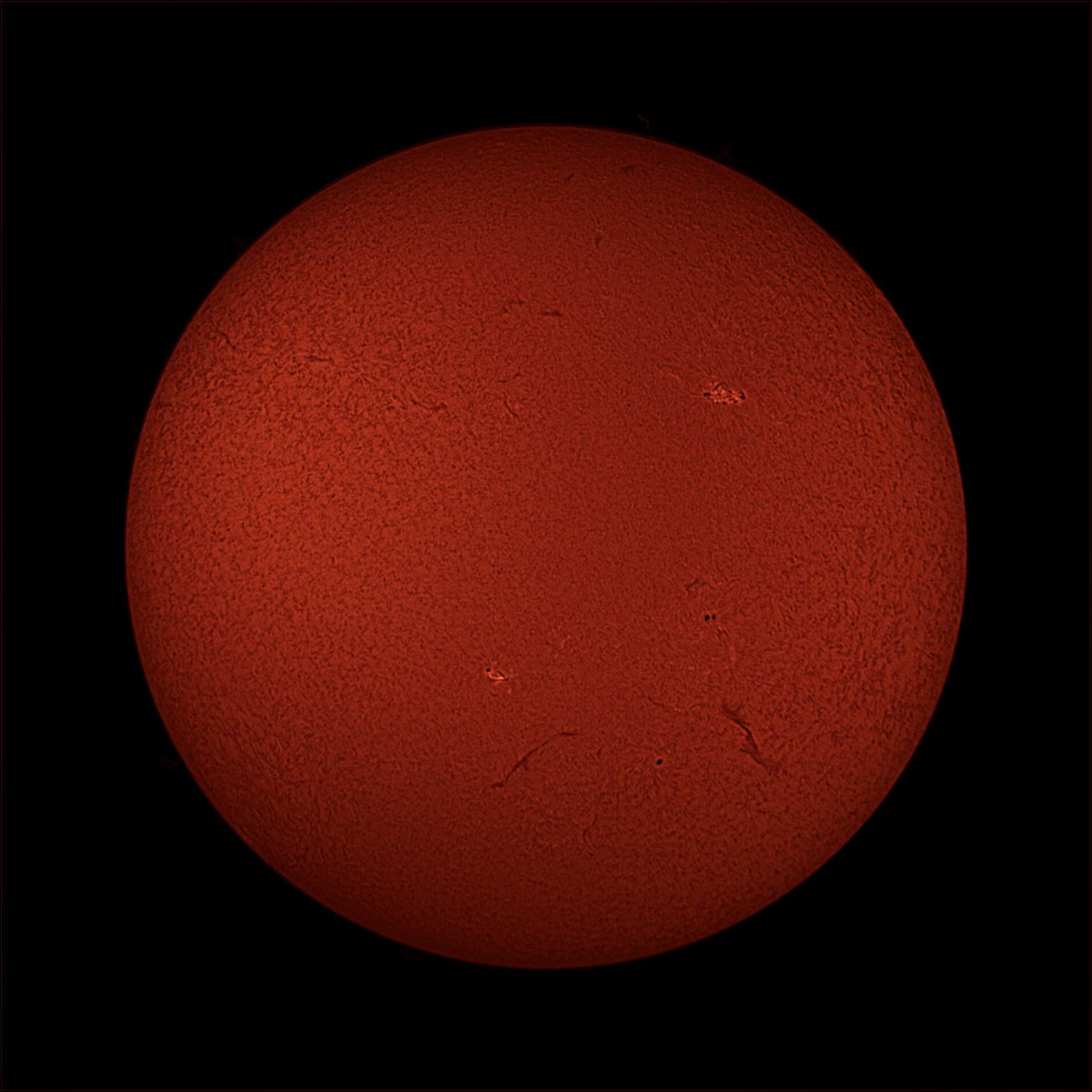 ChrisReesPhD's tweet photo. Todays Sun ☀️ #HydrogenAlpha #Sun #Solar #Astronomy https://t.co/MO1ajyy4gV