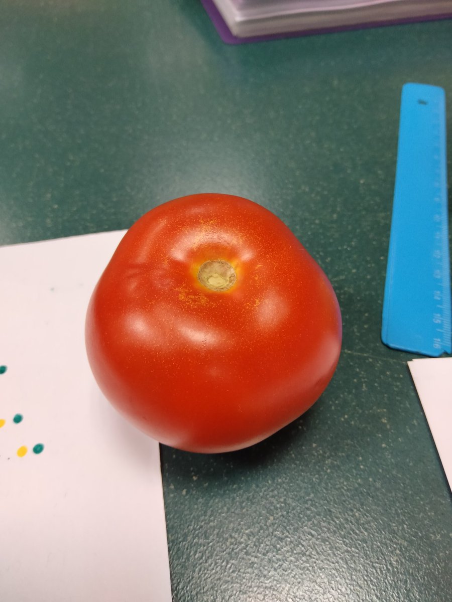 diegsb12's tweet photo. gracias a las chicas que han estado toda la tarde dando guerra en la biblio por dejarnos un tomate! estáis perdonadas! 🍅🍅🍅❤️❤️❤️ https://t.co/899xxvyFV7