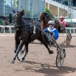 Photo by Stall Christoffer Eriksson (@StallCE)