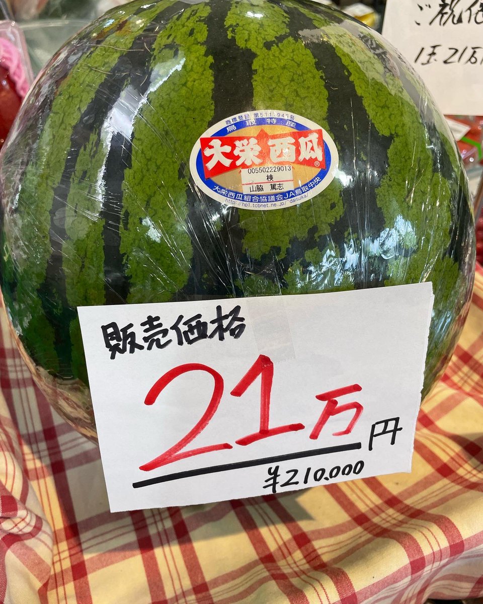 21万円
#21万円