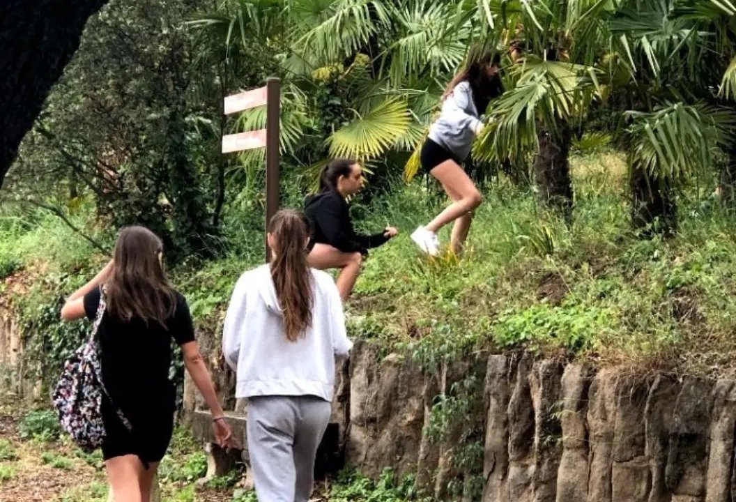 Institut d'Alpicat tweet media