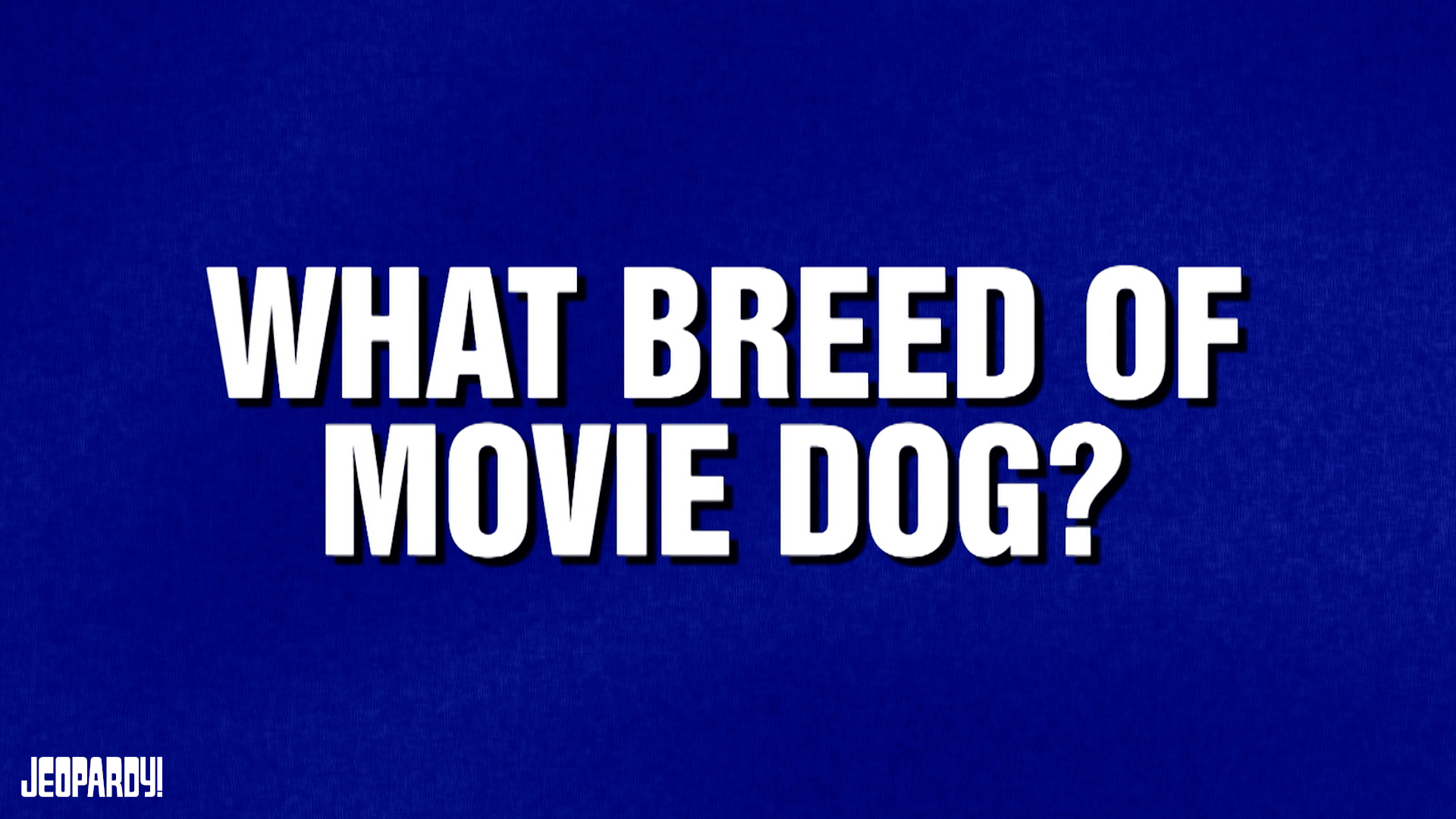 Jeopardy! on Twitter "Has anyone adopted a specific breed of dog after