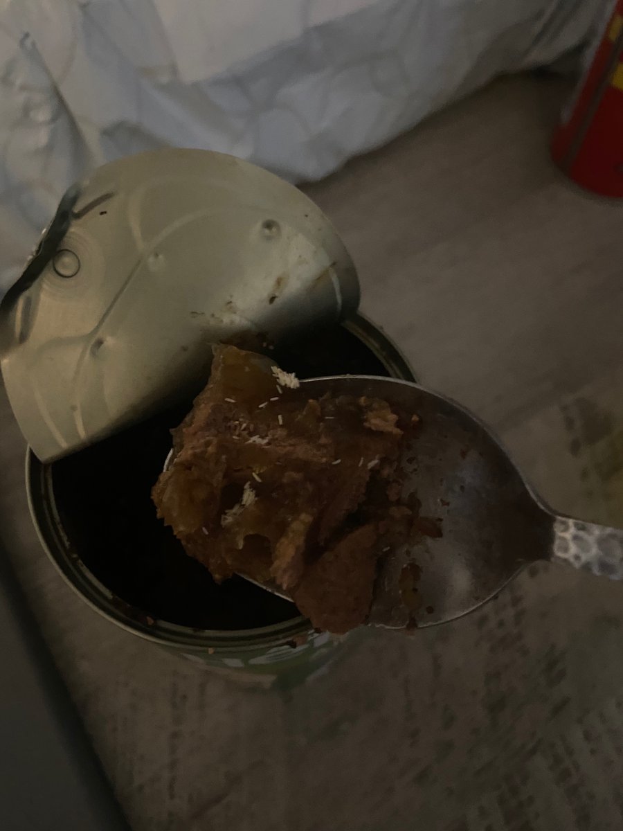 bethdevlin44's tweet photo. @asda  @AsdaServiceTeam      actually 🤢 some sort of eggs or maggots type thing in the tin of dog food i was just about to feed to my dogs! Be careful everyone with dogs and check your tins! Actually feel sick 🤮 https://t.co/S9WLPautYy