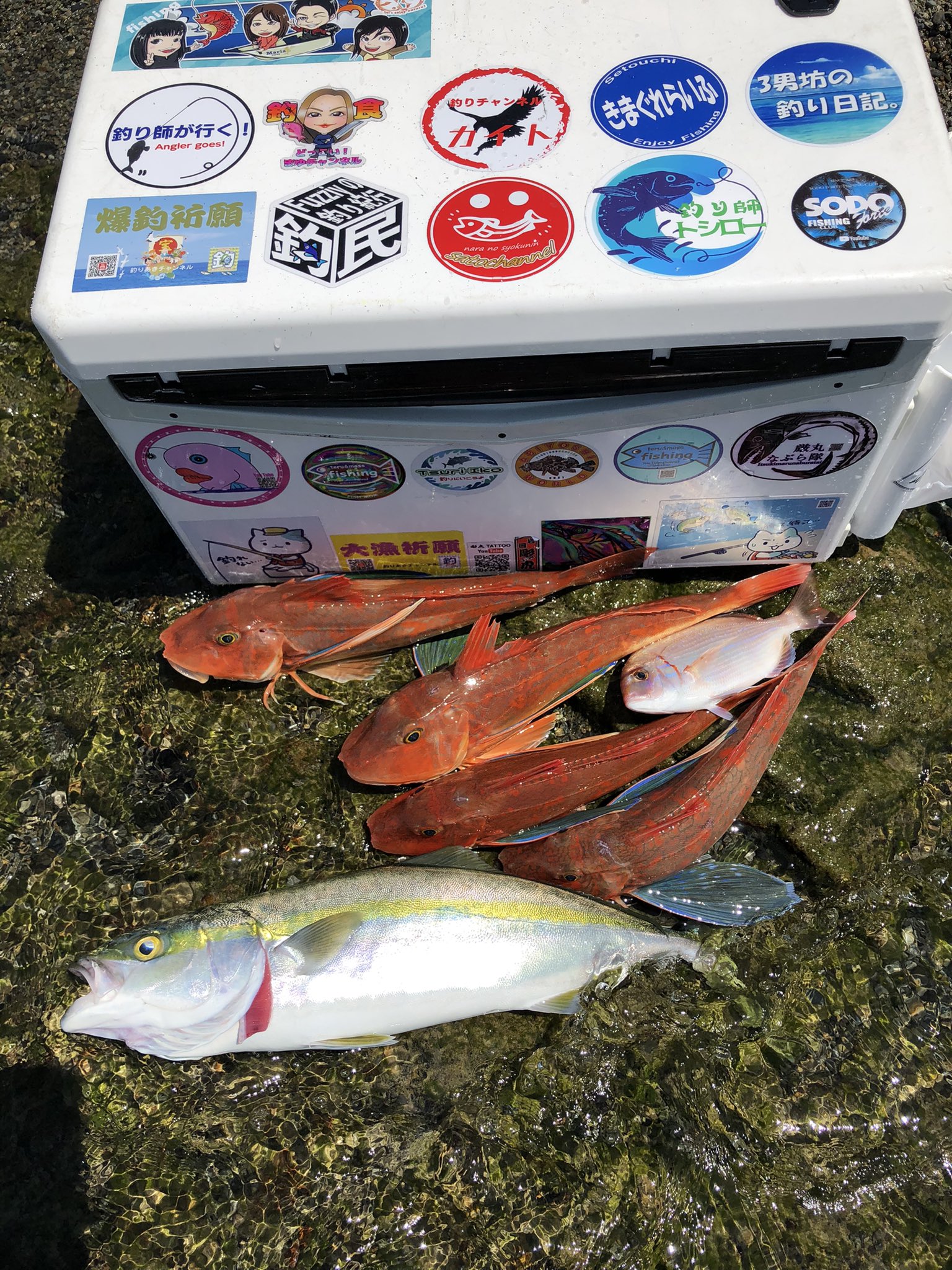 釣りあきチャンネル Hiroshi ありがとうございます Twitter