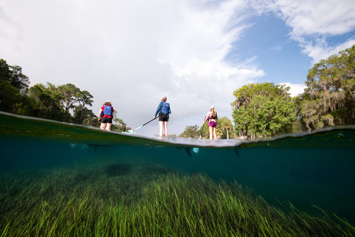 livewildlyfl's tweet photo. Meet Florida's next generation of Corridor champions! Watch the story of three FL teens who went on a 4-day 50-mile Florida Wildlife Corridor expedition in our blog and in @FL_WildCorridor’s “Home Waters” short film by @jadlerphoto. #LiveWildlyFL 
https://t.co/tBSgEOCoHs https://t.co/wY0CBUeL6O