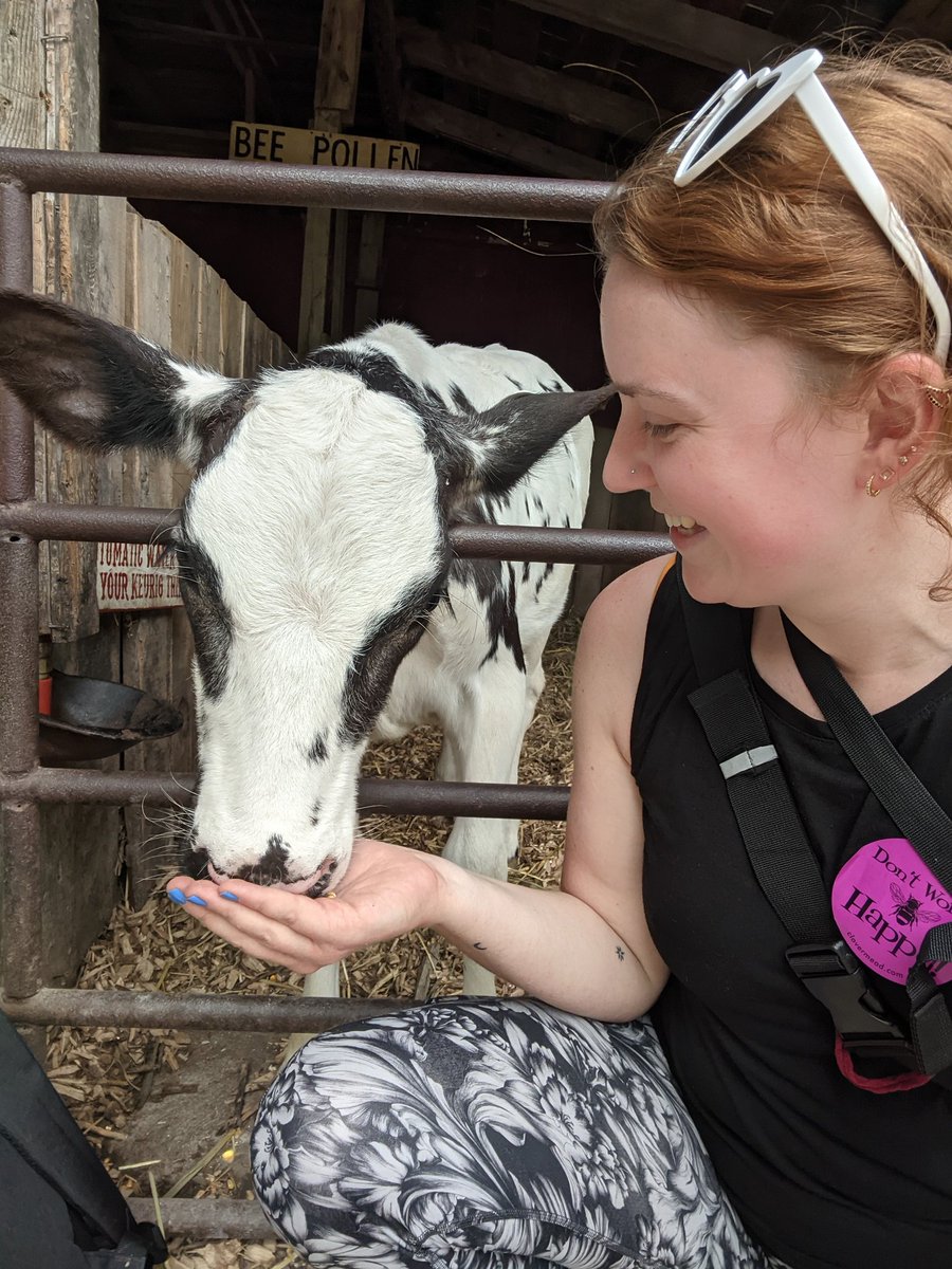 Our Kindergarteners had an amazing time at <a href="/clovermead/">Clovermead Adventure Farm</a> today! (As did I 🐮💜🤠)
