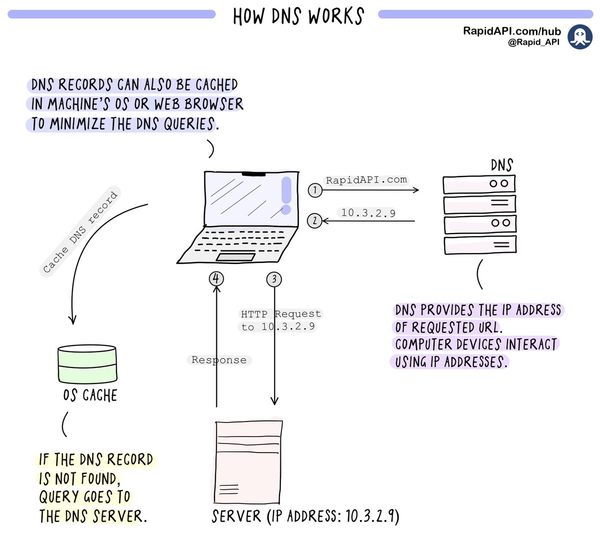 Rapid_API's tweet image. Five visuals that will change the way you learn API development.
Thread 🧵
1. How DNS Works