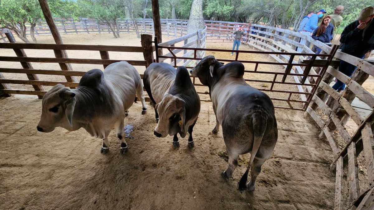 Seguimos participando de grandes eventos! 🌎2° jornada del 𝗩𝗶𝗮𝗷𝗲 𝗱𝗲 𝗜𝗻𝗻𝗼𝘃𝗮𝗰𝗶𝗼́𝗻 𝗲𝗻 𝗣𝗮𝗿𝗮𝗴𝘂𝗮𝘆: 𝗣𝗿𝗼𝗱𝘂𝗰𝗰𝗶𝗼́𝗻 𝗦𝗼𝘀𝘁𝗲𝗻𝗶𝗯𝗹𝗲 𝗲𝗻 𝗲𝗹 𝗚𝗿𝗮𝗻 𝗖𝗵𝗮𝗰𝗼. Nuestro CEO &amp; Co-Founder Diego Heinrich y Juan Martin Giordano Roux, del área Ventas