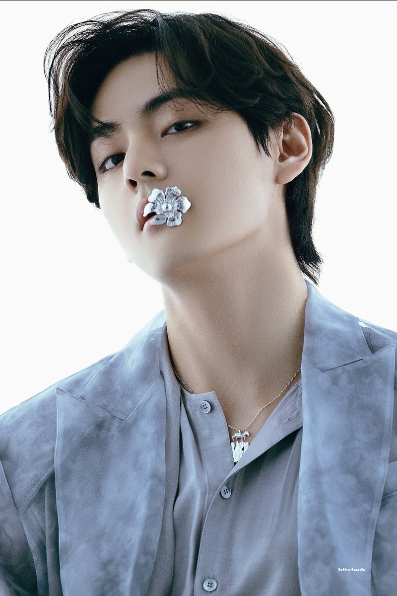 힛뷔랙 tweet media