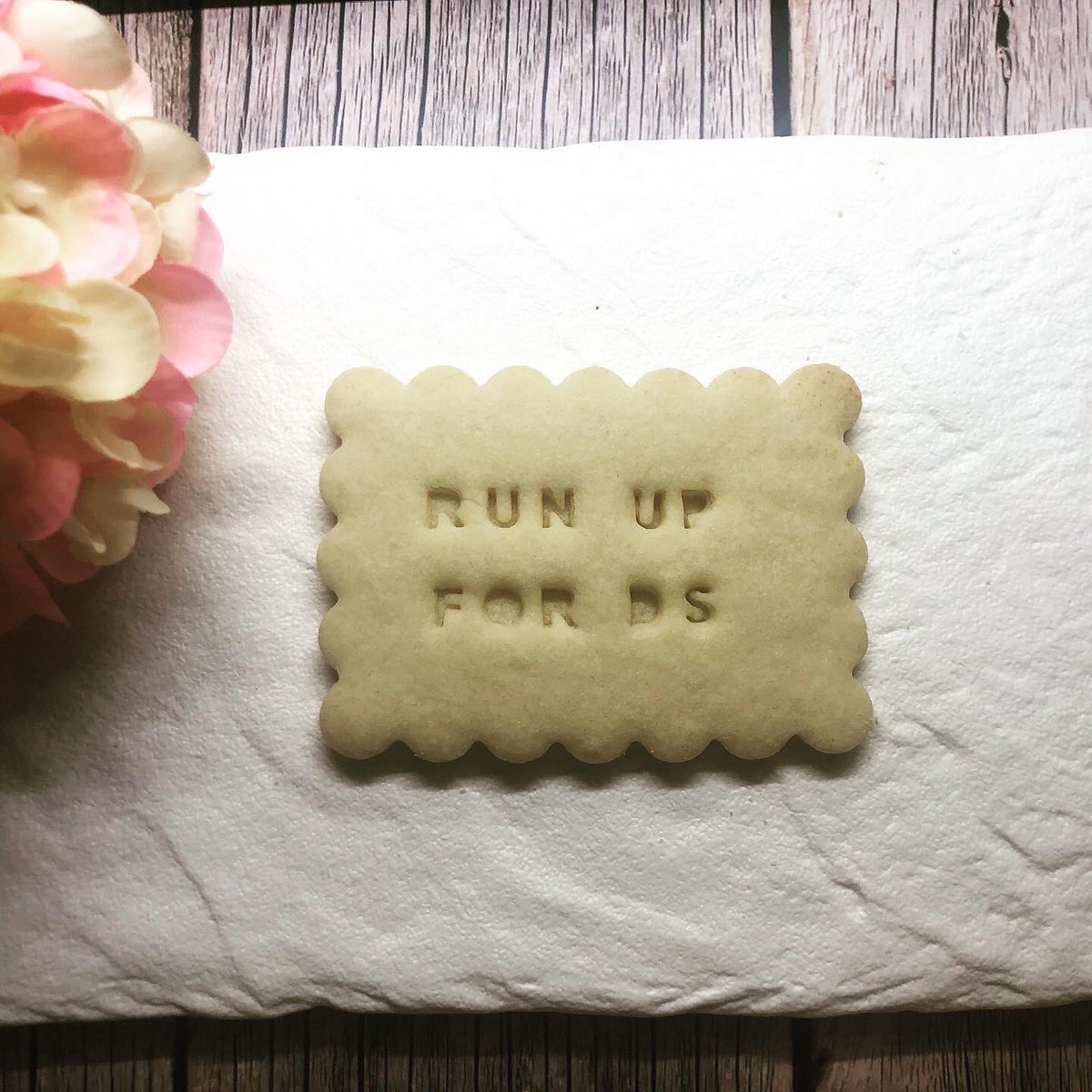 Trisomy21Momma's tweet photo. This Saturday I am at the Burnaby Farmers Market from 10-2pm to do a last fundraising effort for the Run Up For Down Syndrome. I’ll have LOTS of cookies-all by donation and all made by me! Or donate here https://t.co/O1AuQ8akgp
#MissACookies #runupfordownsyndrome #runup4ds #DSRF https://t.co/rNSnuxjIHF