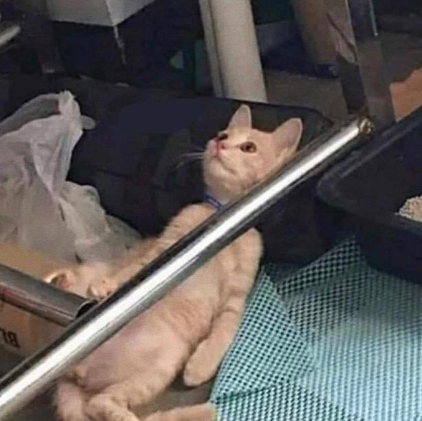 بكرة الاختبار ونا يادوب خلصت محاضرة