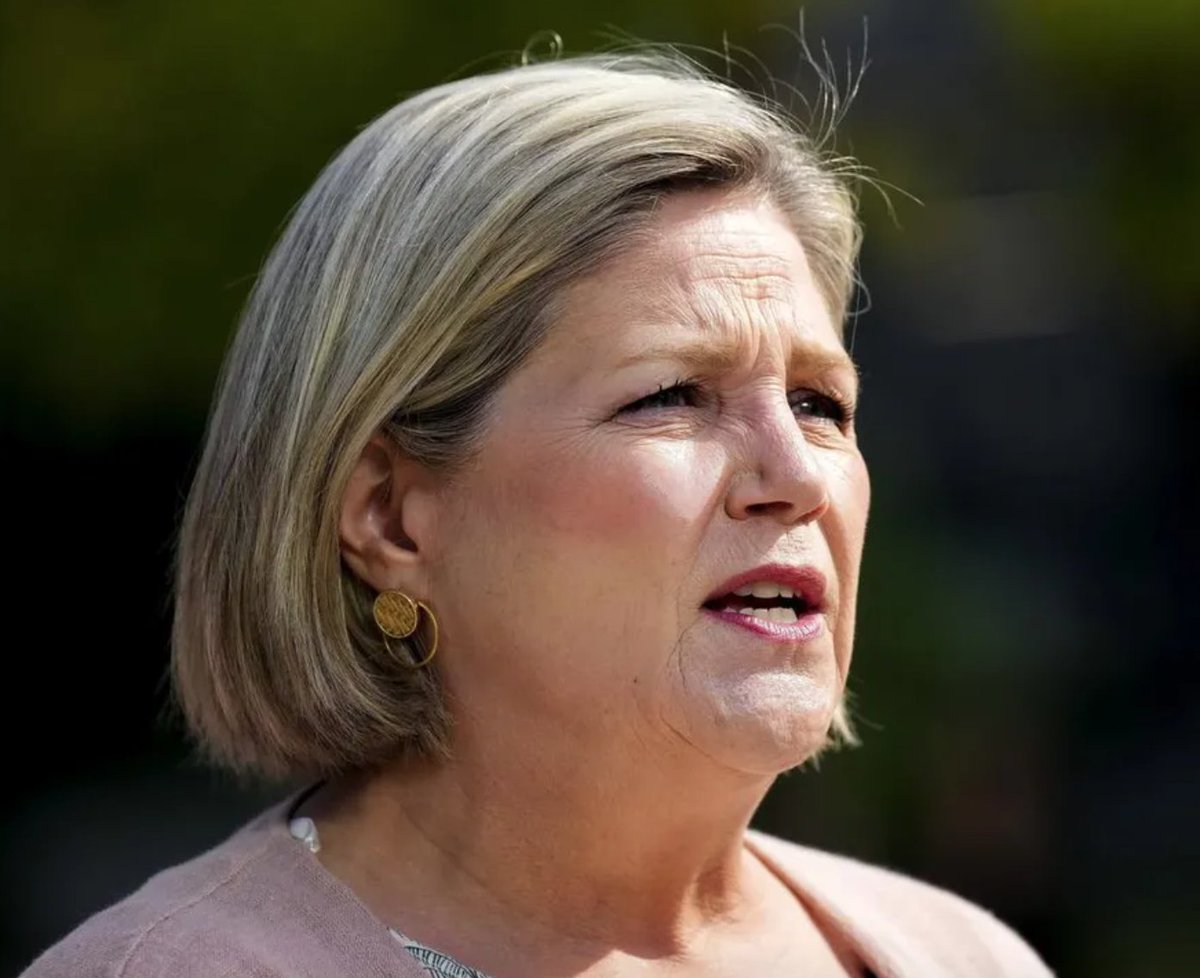 ONTARIO VOTES: A Q-and-A with NDP Leader Andrea Horwath, who says she has no regrets about booting longtime MPP Paul Miller from caucus and vows to ‘fix what is broken’ in an overcrowded health-care system bit.ly/393Sodh