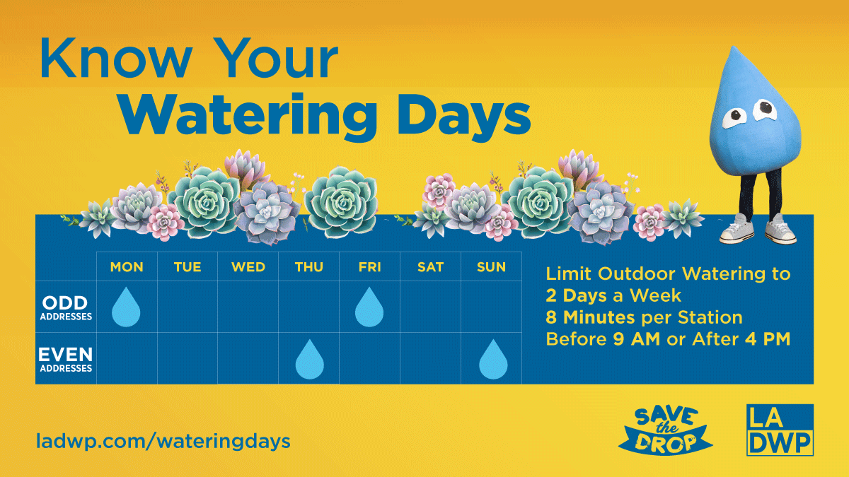 LADWP's tweet photo. Two-days-a-week watering is in effect today for all #LADWP customers. Reset your sprinklers today and help save the drop!
Learn about other water use restrictions and rebates here: https://t.co/Xr3OI3nZ6Z https://t.co/YmU85kMuSt