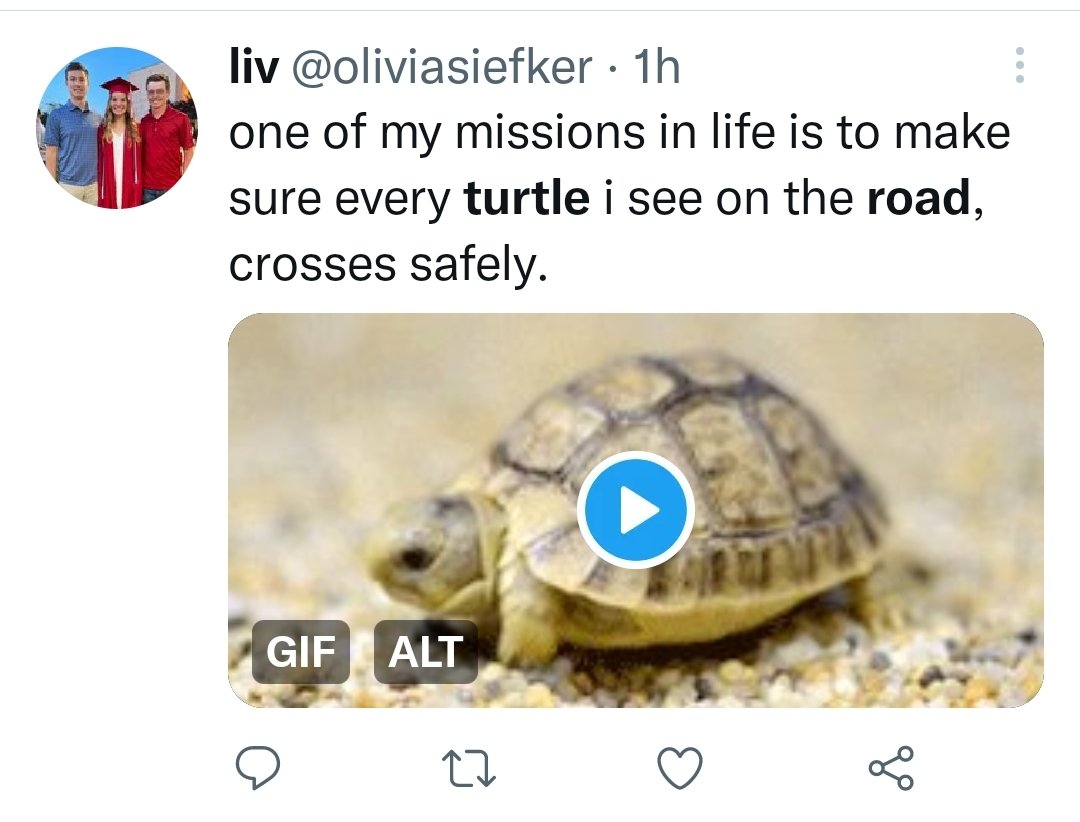 Prof_TurtleAU's tweet photo. Moving turtles off roads is a great way for people to connect with Nature. Empowering for people, vital for turtle populations.
Look at what people have tweeted lately
#RoadTurtle #Turtle https://t.co/69N0M1lZ8w