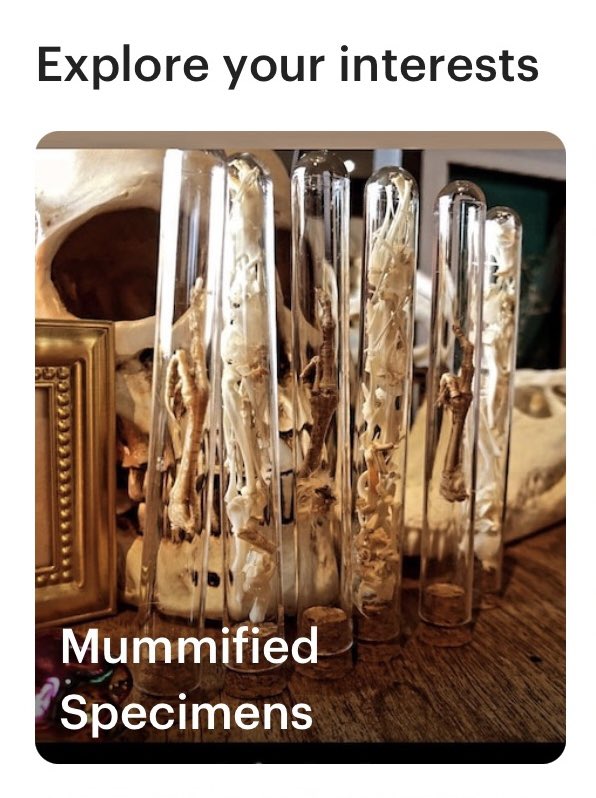 callies_tweets's tweet photo. My @Etsy recommendations have gotten real odd lately… https://t.co/LbtfsQGDtF