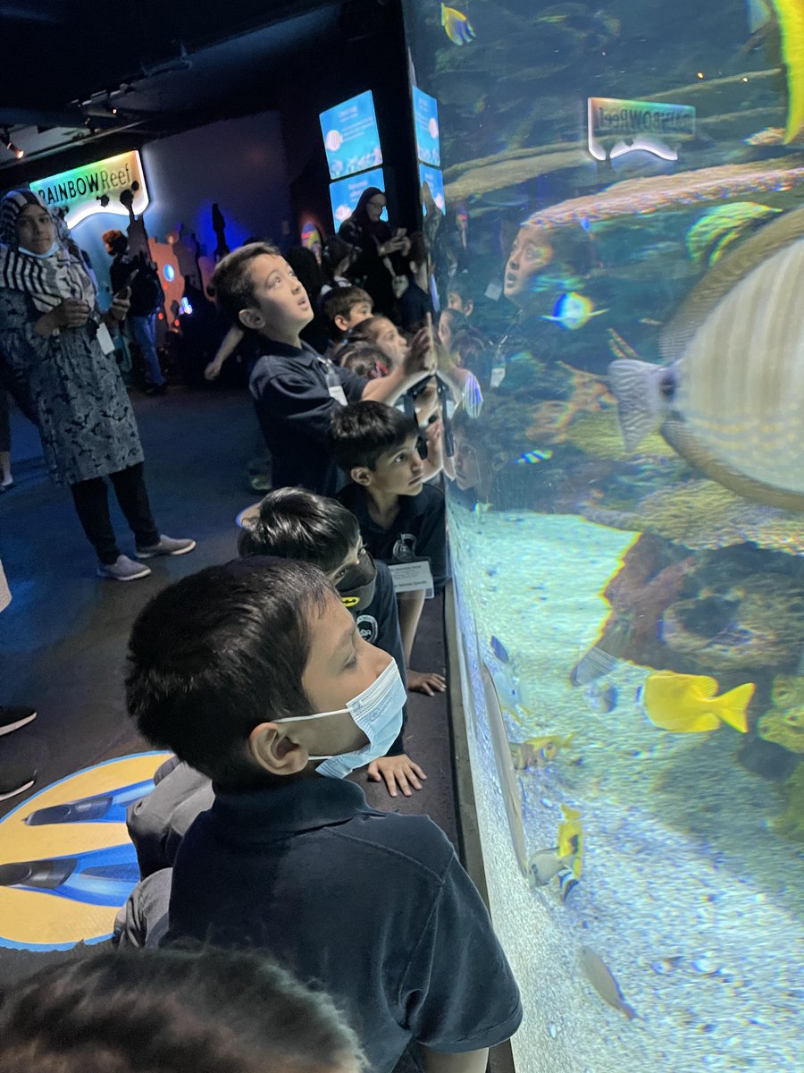 isnaelementary's tweet photo. Grade 1 class had a blast at @RipleysAquaCA !
#Ripleys #Aquarium #Ocean #Sea #IES #ISNAElementarySchool #Fun #Education https://t.co/xwXXetTXgt