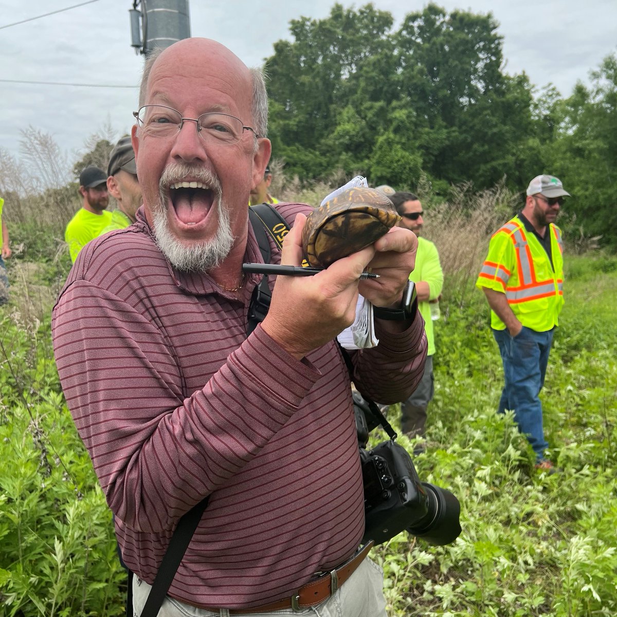 We 💚 turtles, and turtles 💚 our rights of way. This morning in Agawam, our crews trained with a 🐢sniffing dog to relocate our shelled friends to safety before working in low growth habitat. 👀 <a href="/WMassNews/">Western Mass News</a> <a href="/WWLP22News/">WWLP-22News</a> <a href="/masslivenews/">masslivenews</a> for more about our Turtle-Palooza program.