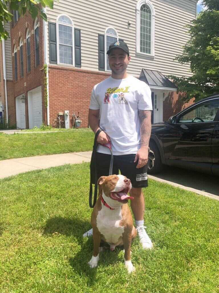 TLBDRescueGroup's tweet photo. 🚨Our Walty has finally found his forever home! 🖤 This amazing pup has had a long journey and we are so happy to see him find his adoptive home. #pitties #pitbulls #AdoptDontShop https://t.co/Hu00g2Qb3V