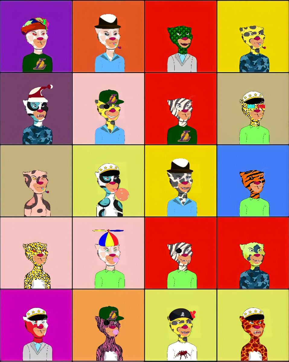 No Ape Yes Leopard tweet media