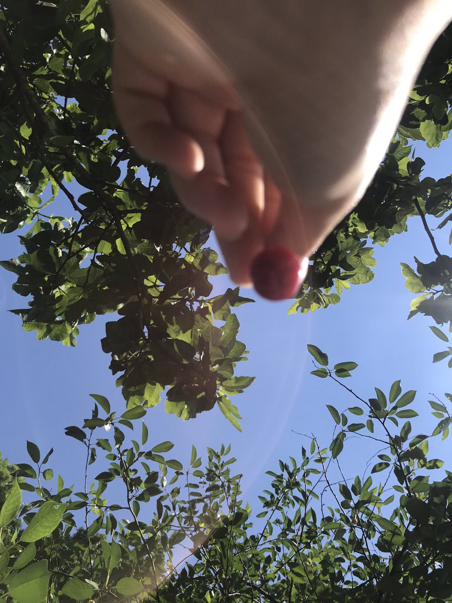 /Rabbim! Bana göndereceğin her hayra muhtacım - Kasas 24/