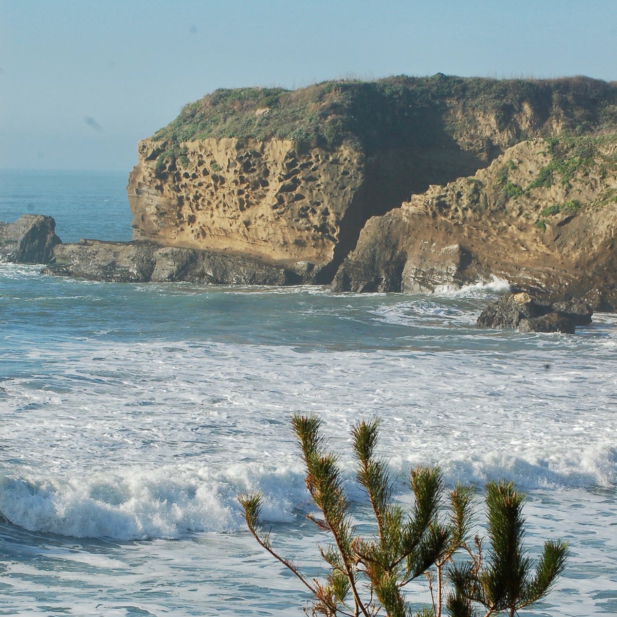 ThatsMyPark's tweet photo. Walk a short distance through @AnoNuevoSP to Cove Beach β the perfect spot for beachgoers and surfers. πβ±οΈ
#FindNewAdventure #ThatsMyBeach #ThatsMyPark
#Beach #Surf #Beach https://t.co/DfsyQgbaiQ