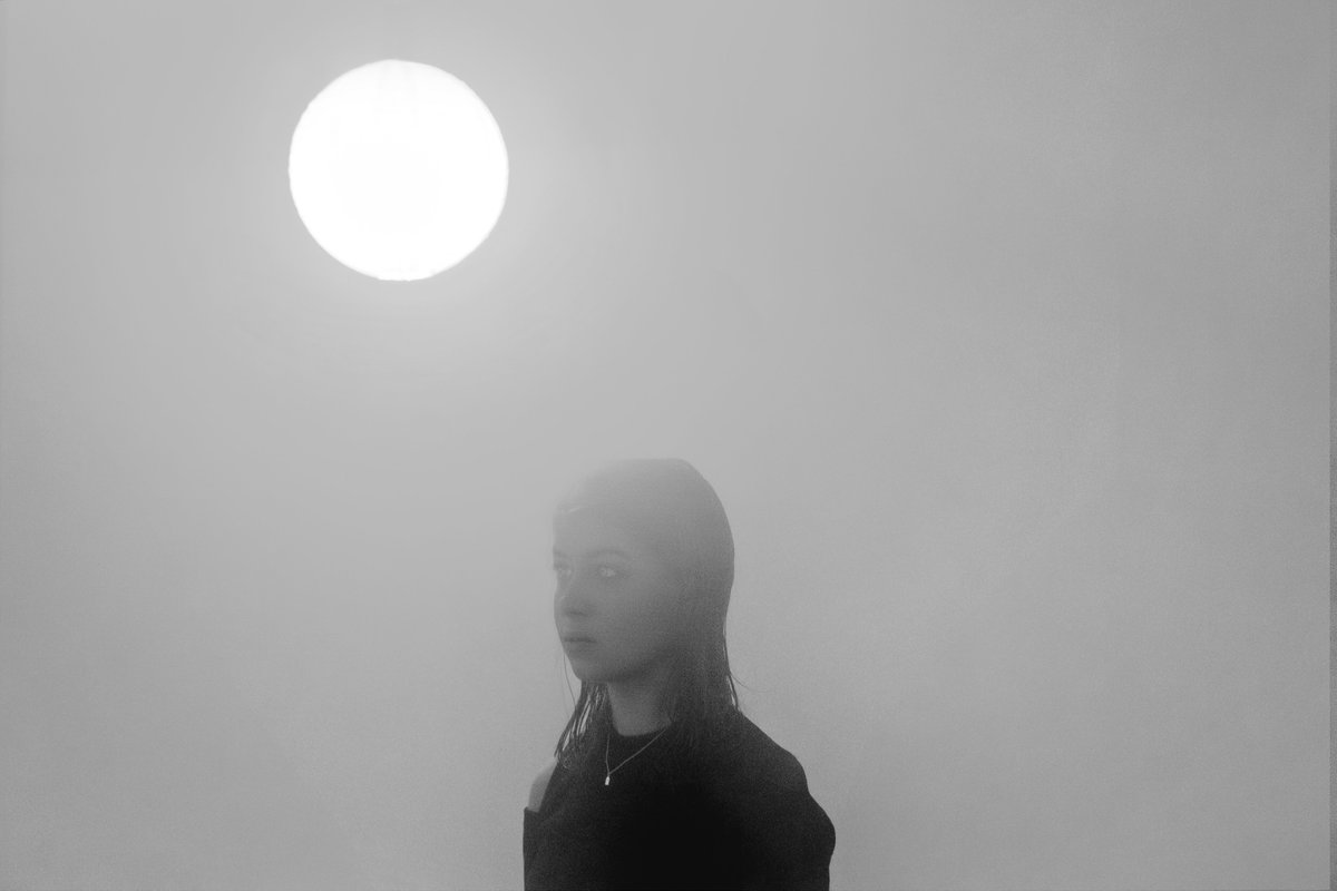 The Last Dinosaur tweet media