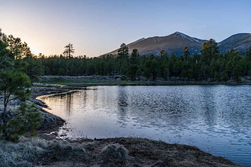 Forested lands cover 28.7% of the continental U.S., but contribute 46% of the total surface water yield. New research from <a href="/usfs_srs/">Southern Research</a>, <a href="/usfs_rmrs/">Rocky Mountain Research Station</a>, and collaborators underscores the critical role forests play in maintaining and improving water supplies. fs.usda.gov/treesearch/pub…