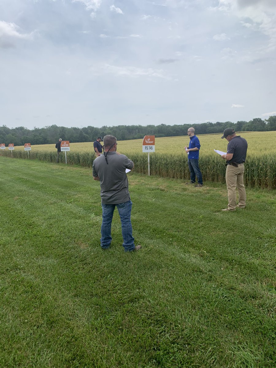 larryhelm4's tweet photo. Checking out the Southern FS InSpire wheat plot in Pinckneyville Illinois today. @sfsagro @Southern_FS @plant2022 https://t.co/ixOb1BrdmX