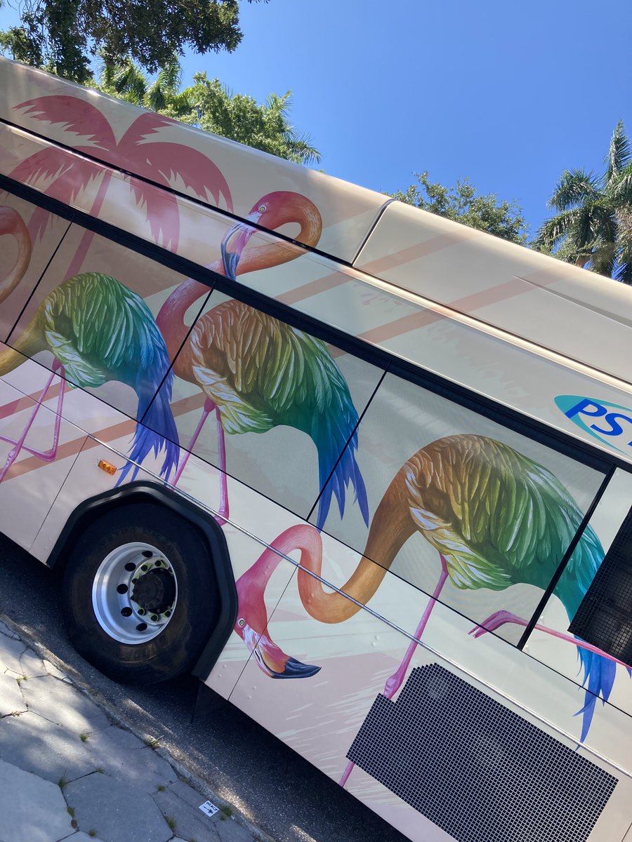 Stephanie_PSTA's tweet photo. Happy PRIDE 🌈 @PinellasCoNews ! Hopefully you all get to see our FABULOUS 🦩 around! https://t.co/0IcthYH9Tj