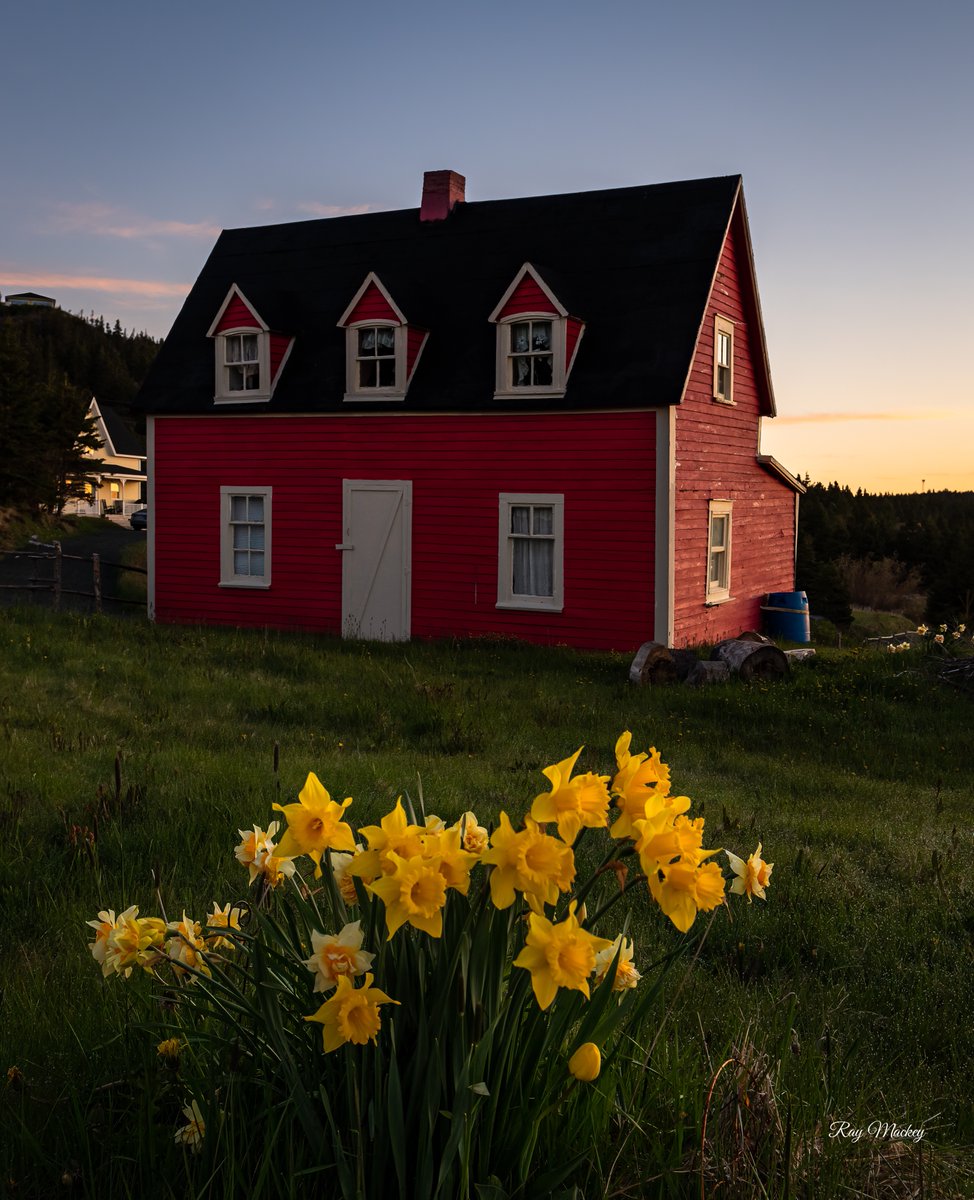 Tors Cove, Newfoundland. #Newfoundland #Canada #comehome2022 #cribbies #sunrise #colouredhouses Something to distract from the fog! (: Have a great evening everyone!