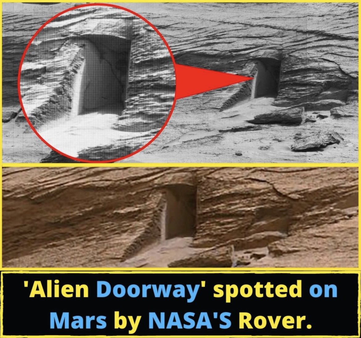 Cheery Aliens Genesis tweet media