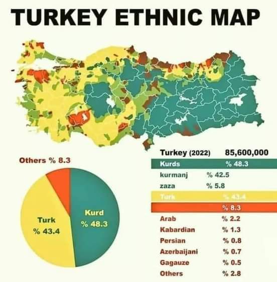 The ethnic map of Turkey for 2022