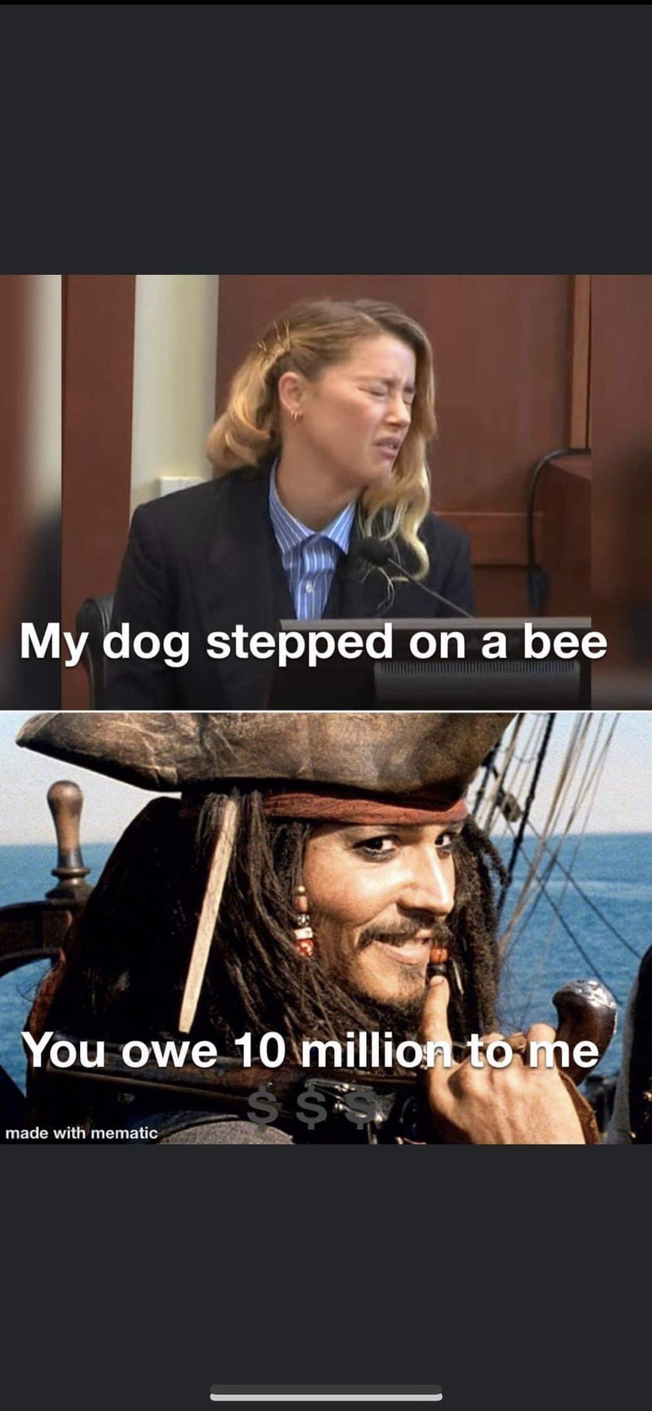 Her dog stepped on a bee? Or her dog WAS a bee 🤔 : r/JusticeForJohnnyDepp