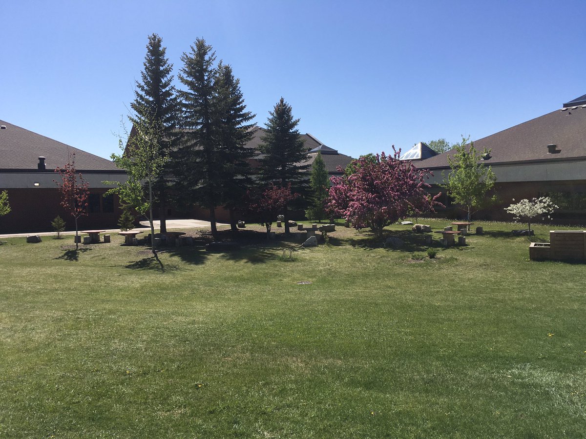 Best classroom on a sunny day: