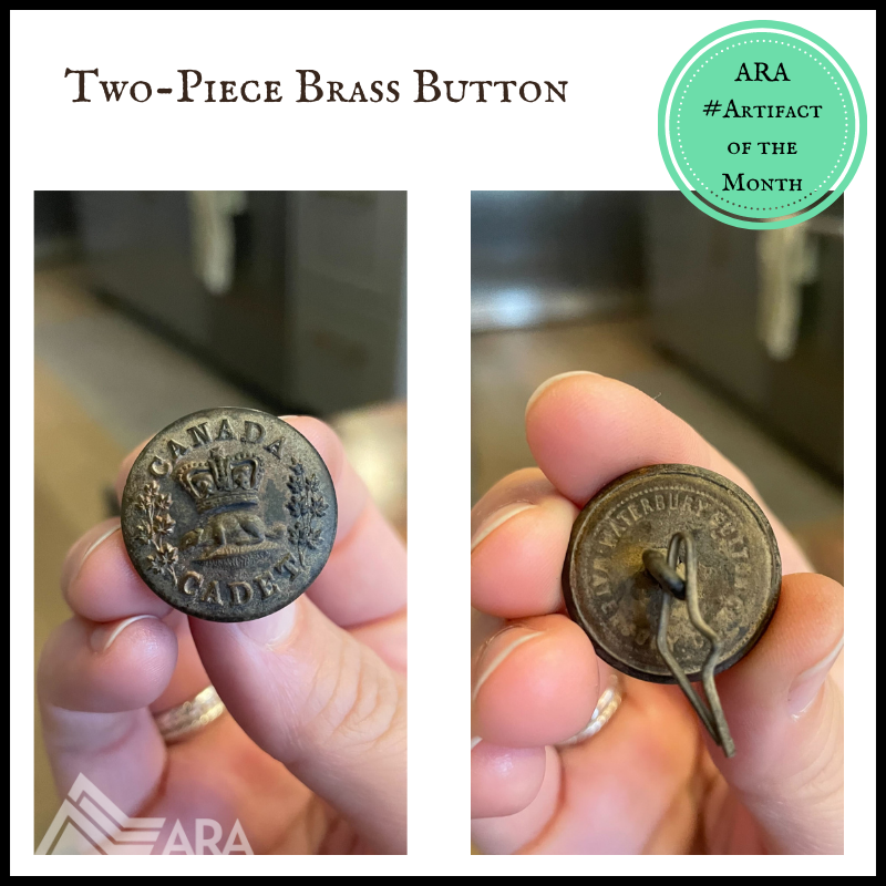 ARA Archaeology tweet media