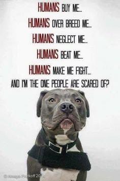 Beaney1872's tweet photo. Facts ๐ข #NoBadDogsPlentyOfBadOwners #NoToBSL #BanBSL https://t.co/DCJy89ixU2