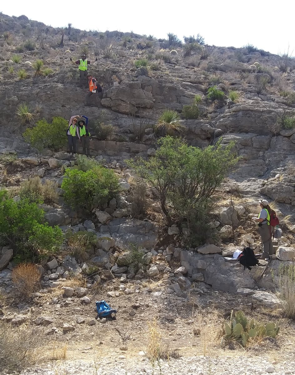 Nathan Brown (@oslrocks) on Twitter photo Great to be out looking at cool rocks on a hot day with <a href="/UTAEarthScience/">UTA Earth & Environmental Sciences</a>! #summerfield Great to be out looking at cool rocks on a hot day with <a href="/UTAEarthScience/">UTA Earth & Environmental Sciences</a>! #summerfield
